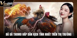 đá gà thomo