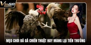 Mẹo chơi đá gà